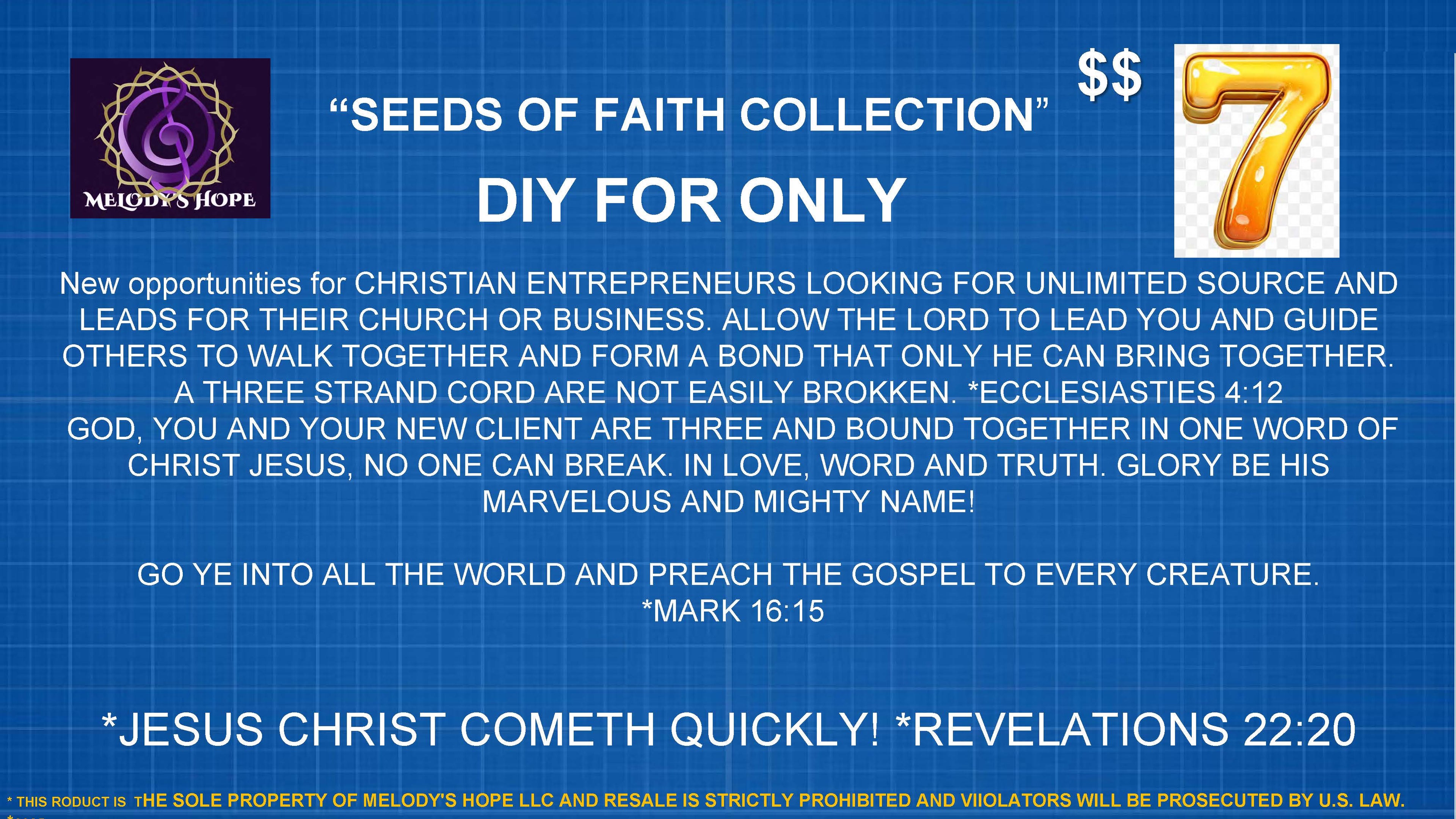 *TIER 1- "Seeds of Faith" Course (Introduction for DIY) *DIGITAL PRODUCT